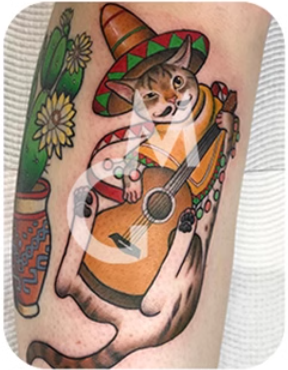 Kitten Playing Guitar with Mexican Head