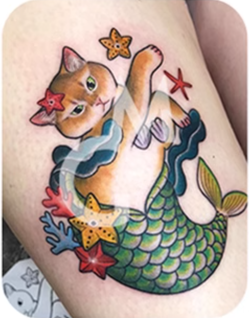 Mermaid Kitten