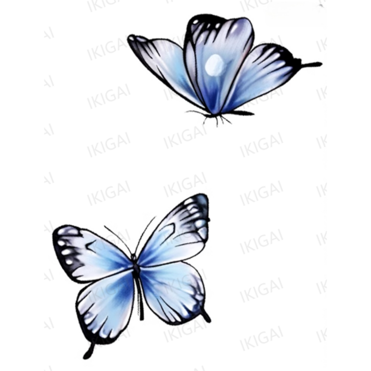 Blue Butterflies