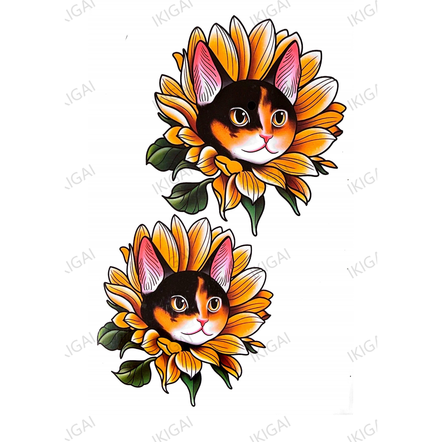 Chrysanthemum Cat Face