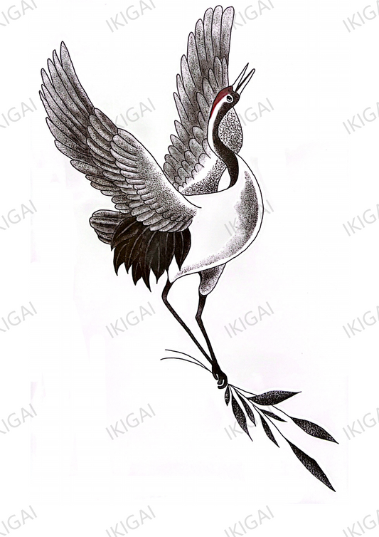 Red-Crowned Crane